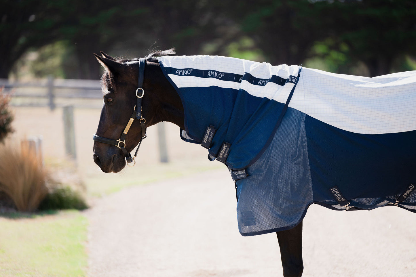 Amigo Helix Airflow Disc Front