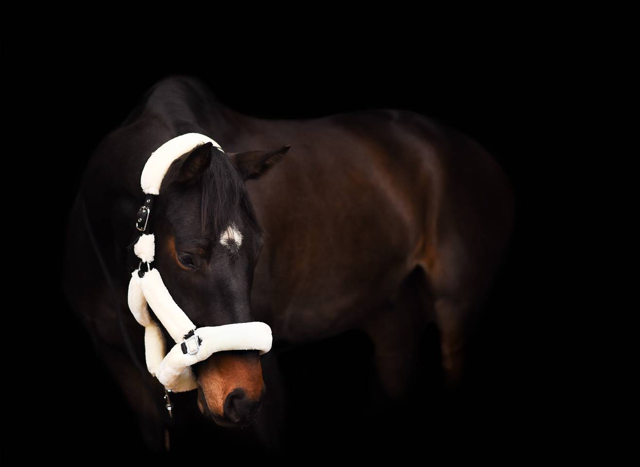 PSOS Fluffy Halter With Lead Rope