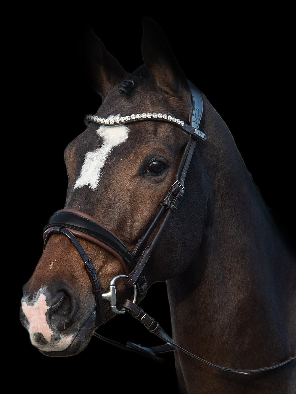 PSOS Bridle GP