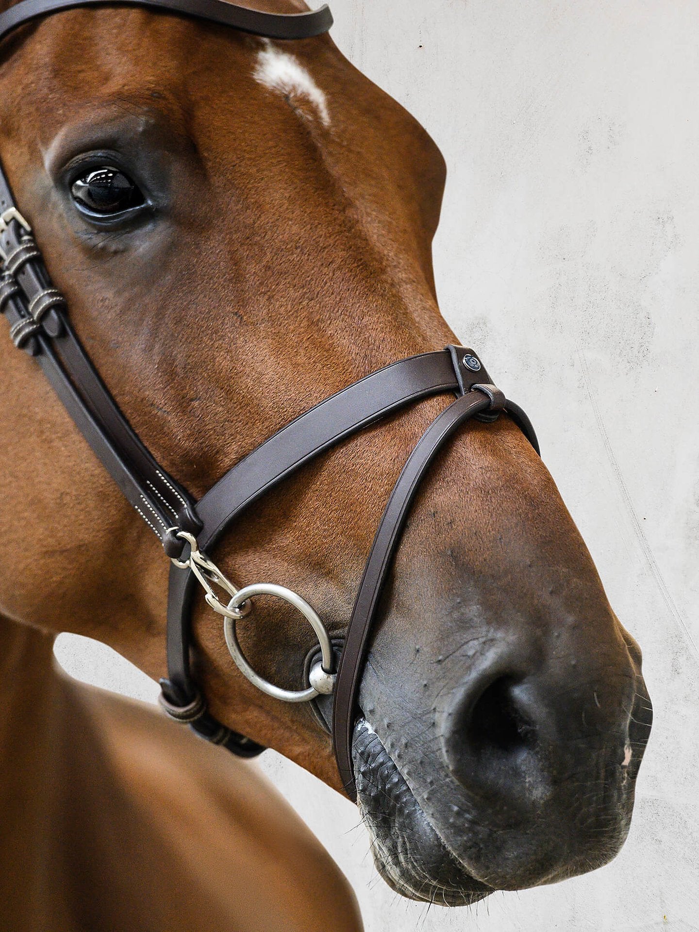 PSOS Bridle London