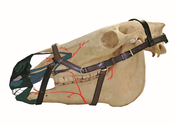 Rambo Micklem Diamante Competition Bridle