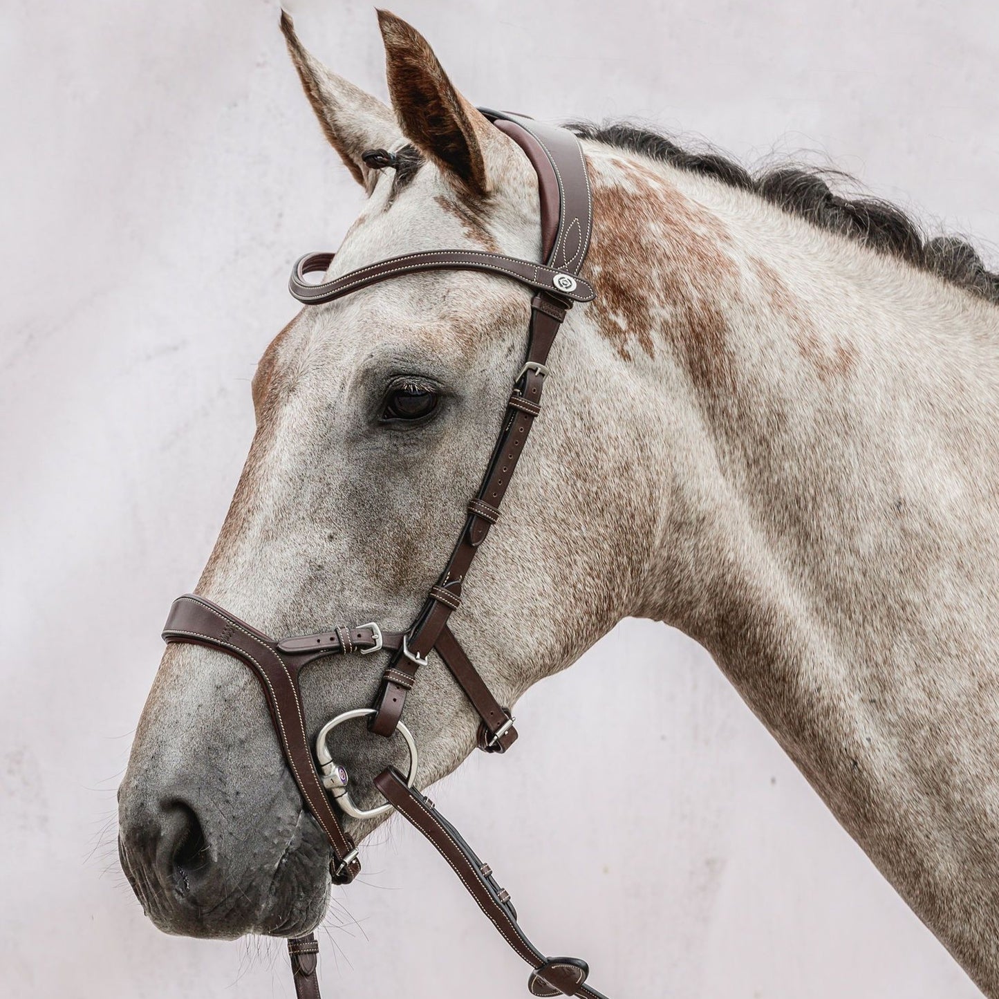 PSOS Bridle Nirak