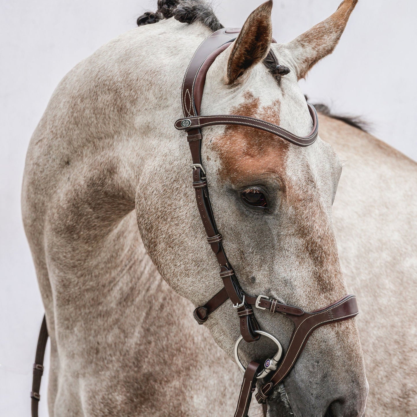 PSOS Bridle Nirak