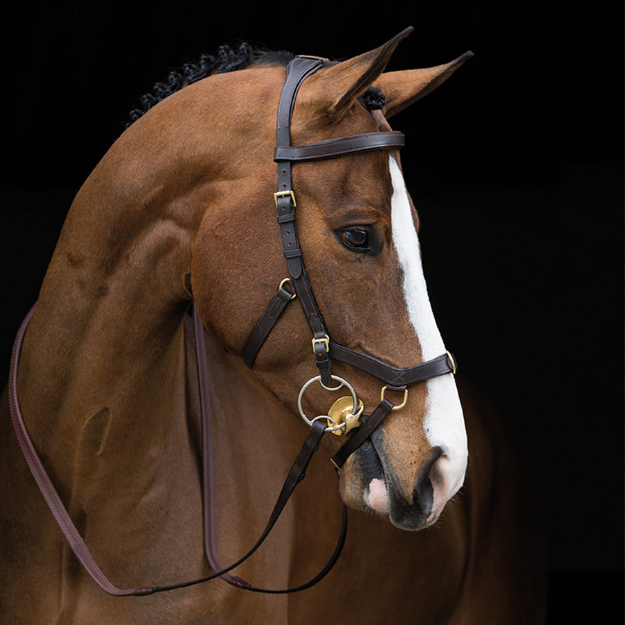 Rambo Micklem Multibridle