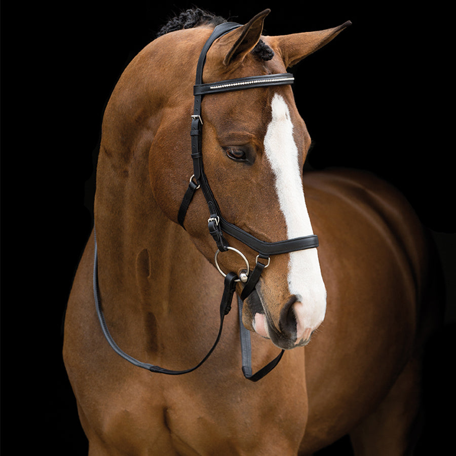 Rambo Micklem Diamante Competition Bridle