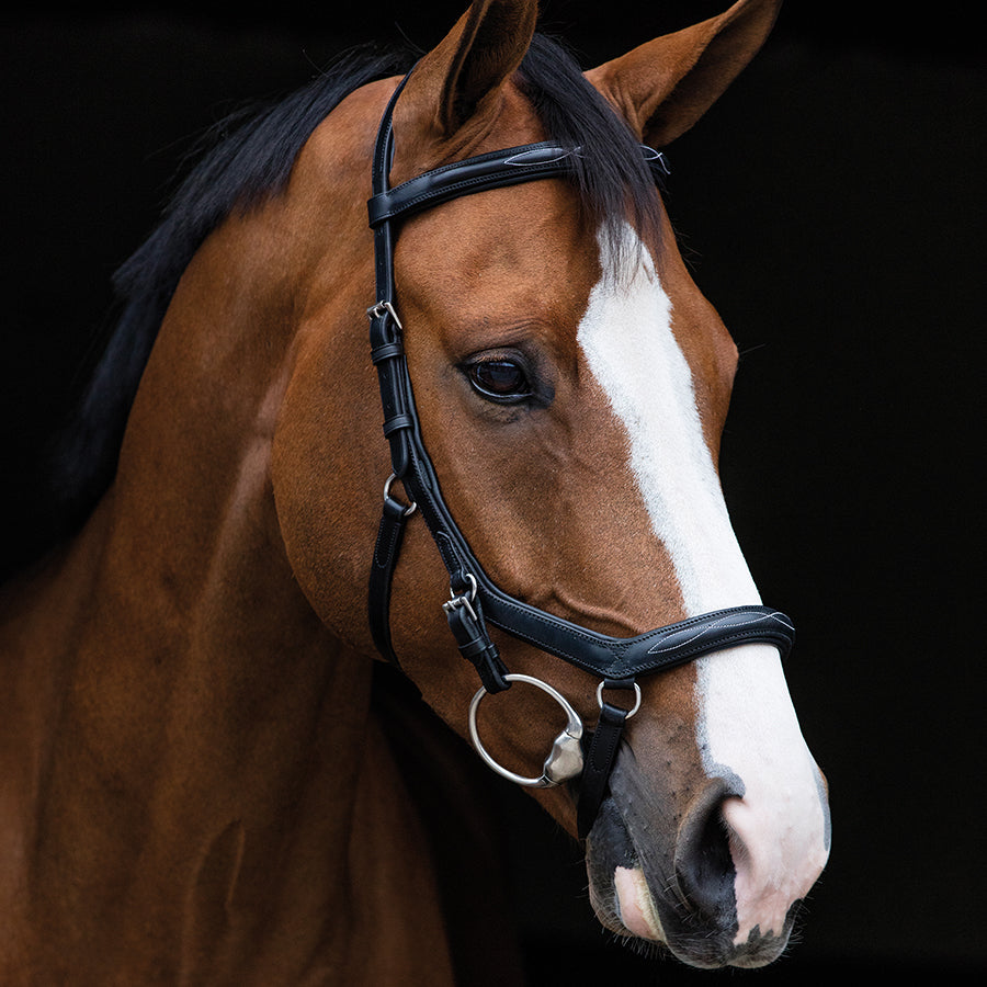 Rambo Micklem Deluxe Competition Bridle