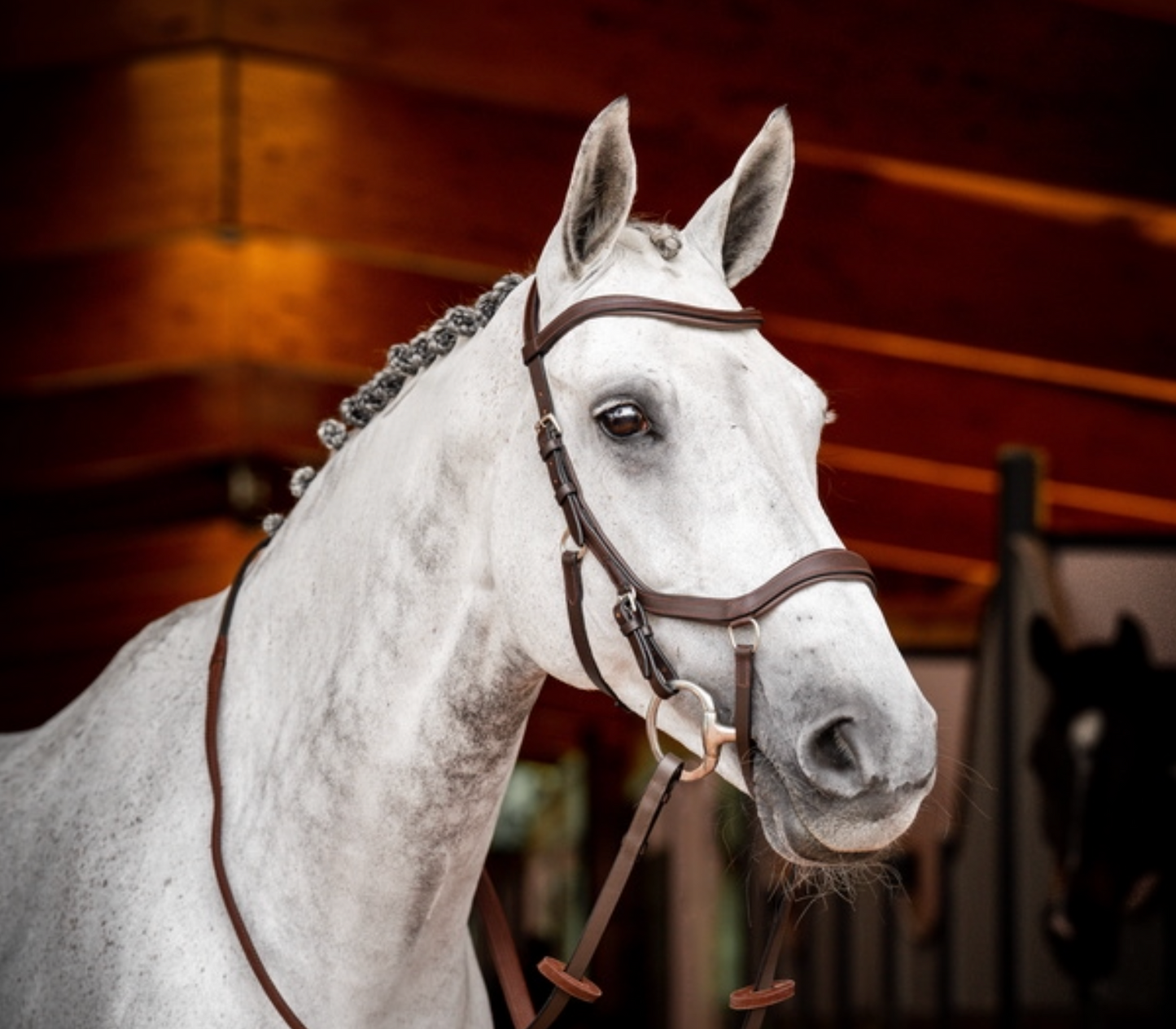 HW Micklem 2 Competition Bridle