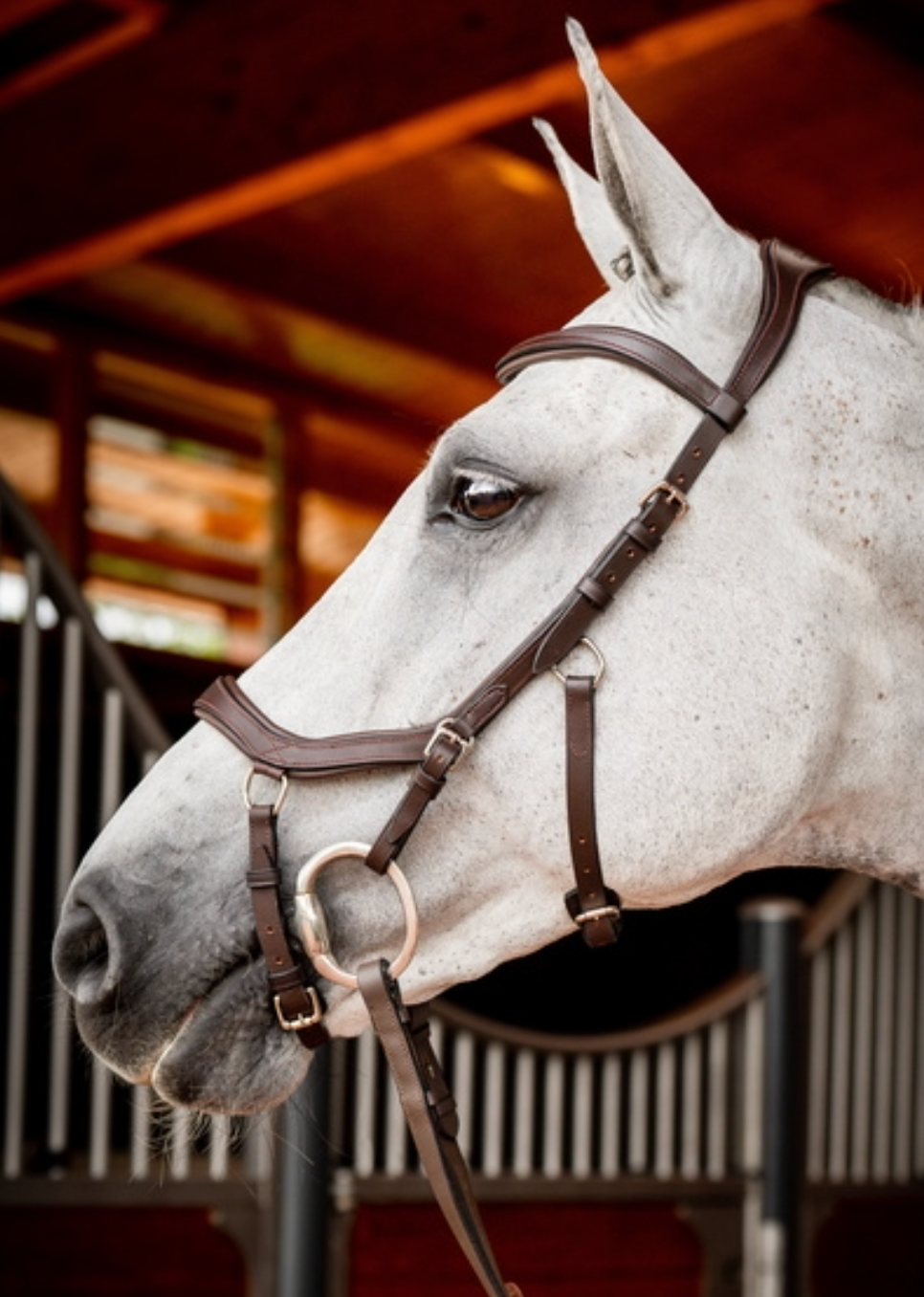 HW Micklem 2 Competition Bridle