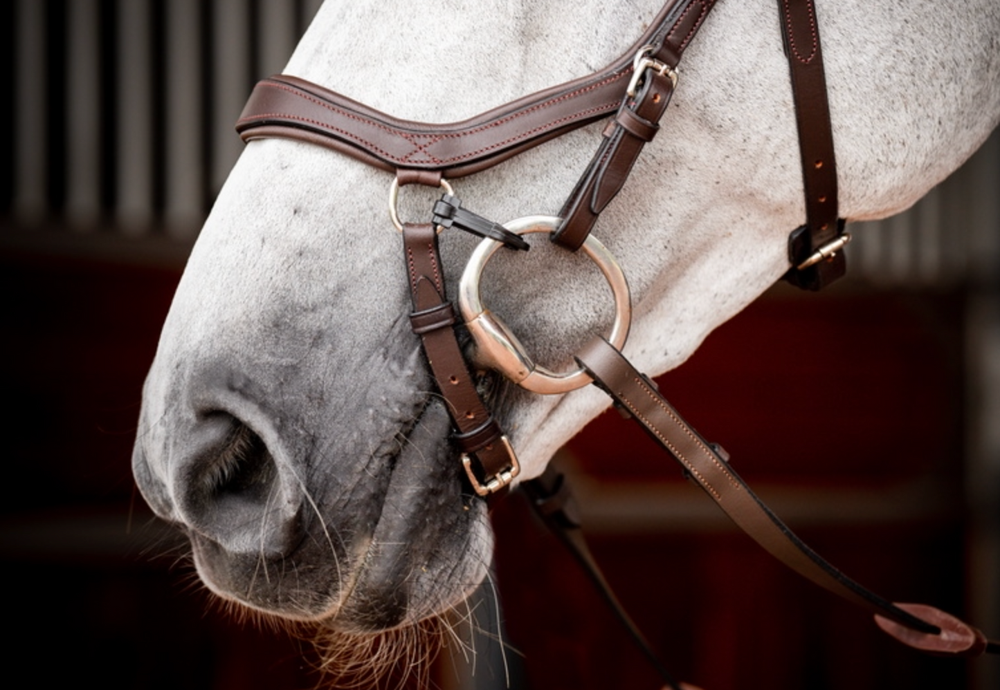 HW Micklem 2 Competition Bridle