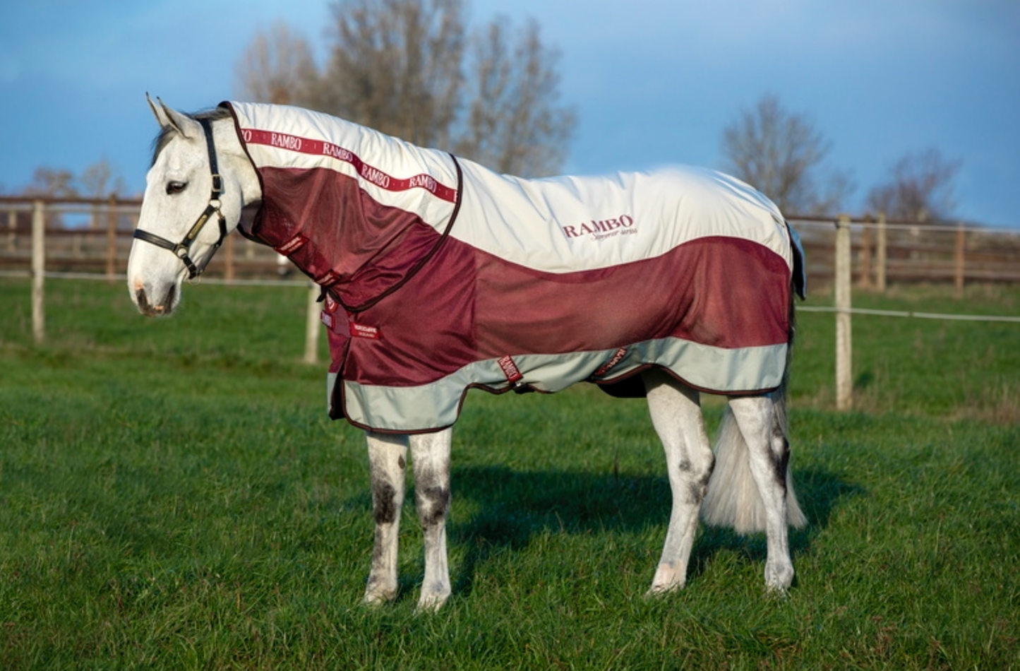 Rambo Summer Series Disc Front