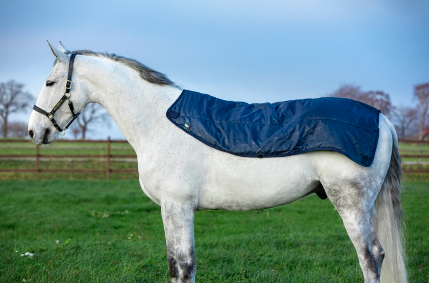 Rambo Summer Series Disc Front