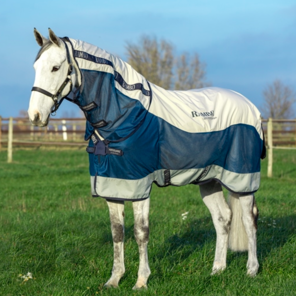 Rambo Summer Series Disc Front