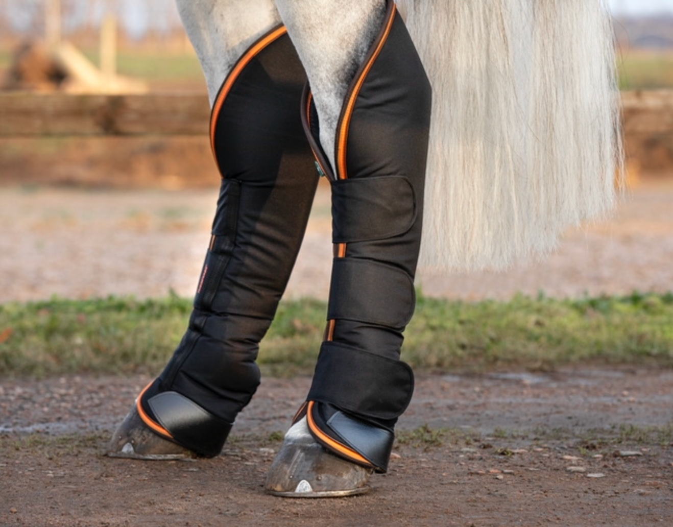 Rambo 2025 ionic boots