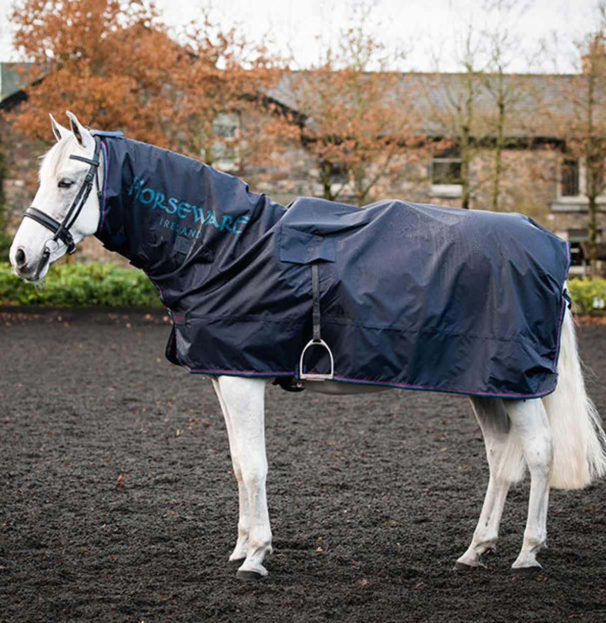 Rambo Mack in a Sack