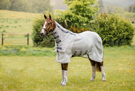 Rambo Protector Plus Fly Rug
