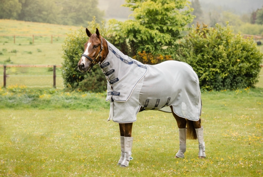 Rambo Protector Fly Rug NEW