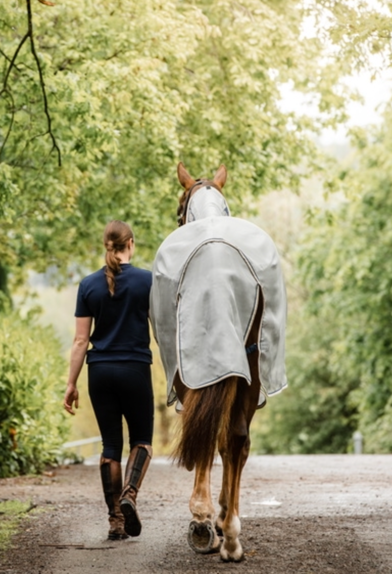Rambo Protector Plus Fly Rug
