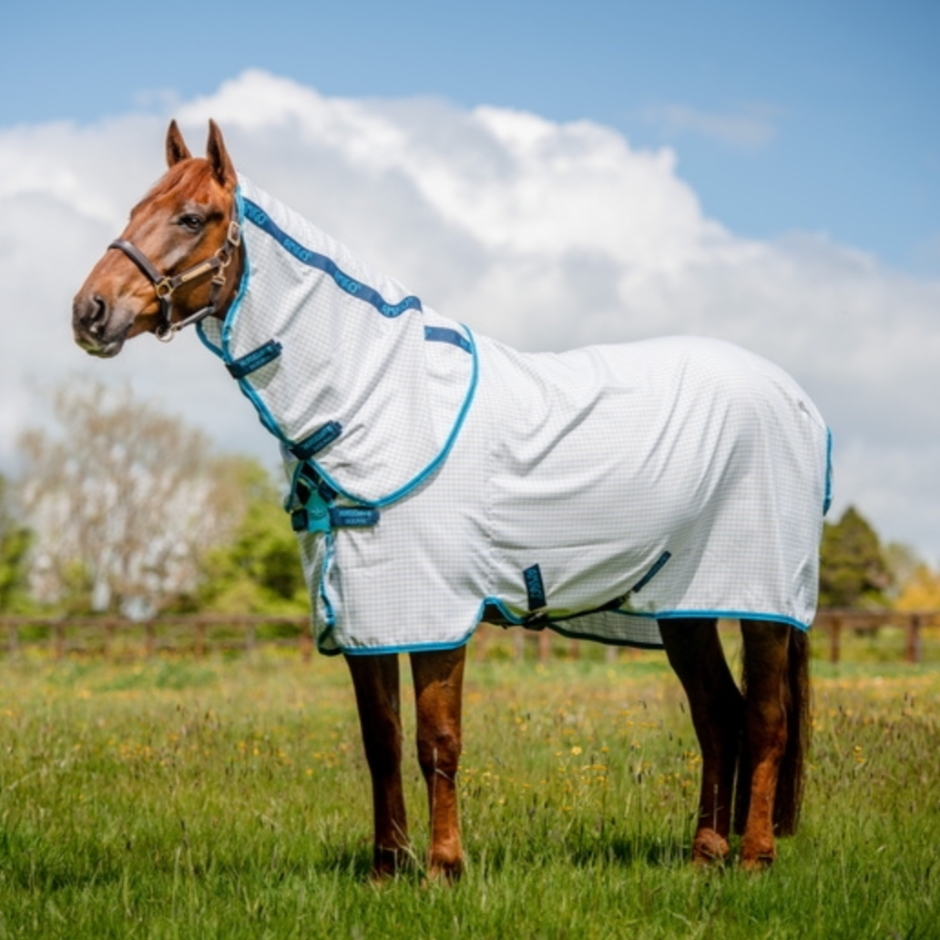 Amigo Aussie Allrounder DiscFront