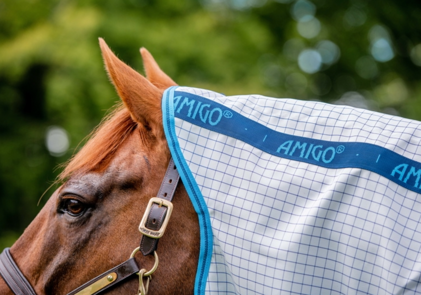 Amigo Aussie Allrounder DiscFront