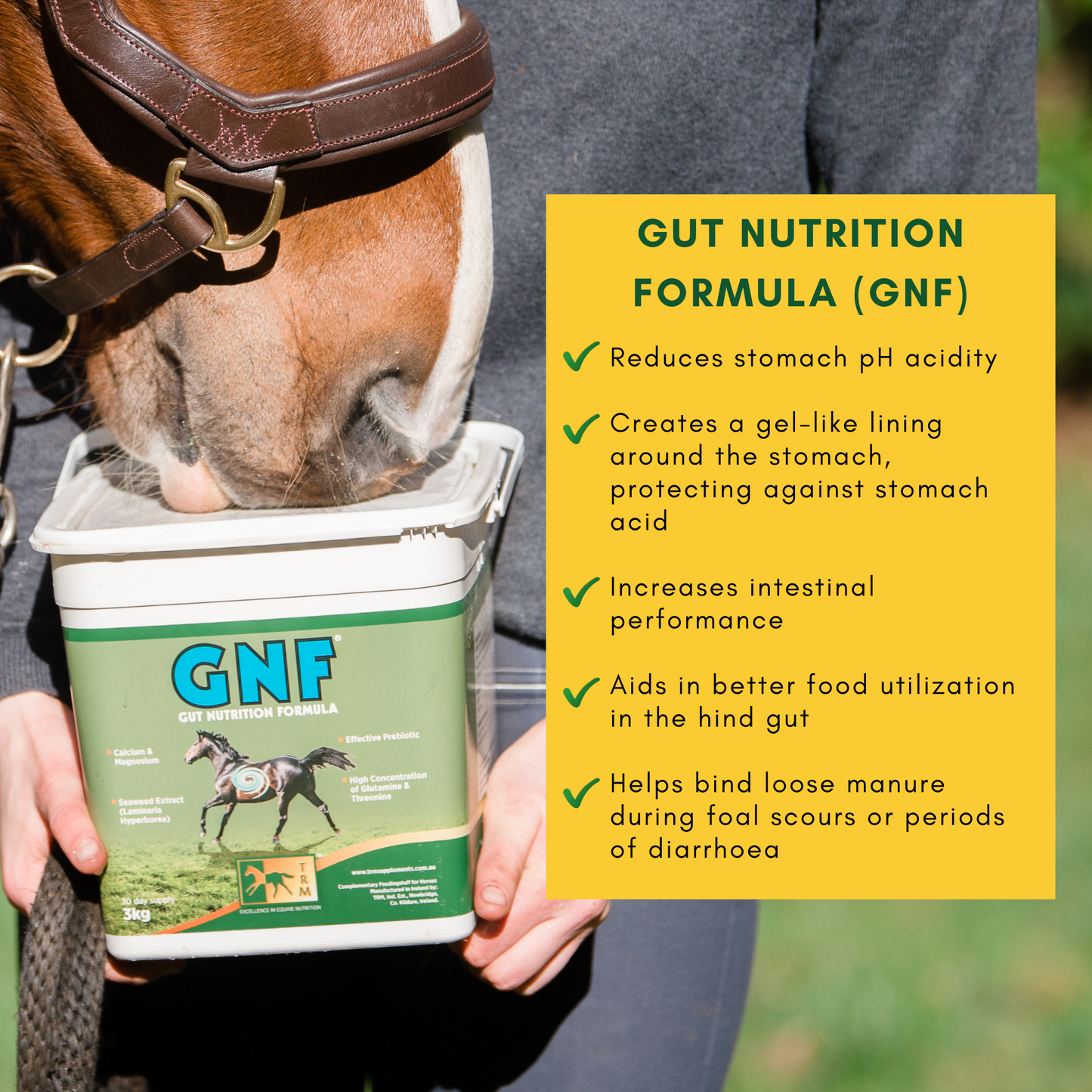 GNF - Gut Nutrition Formula