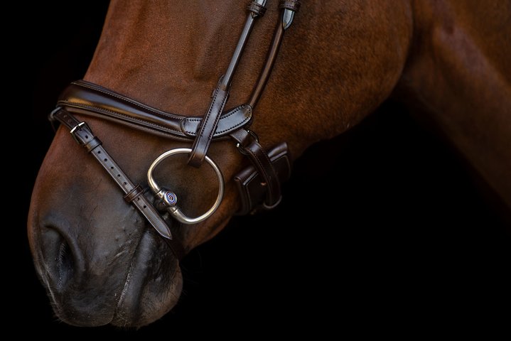 PSOS Double Bridle Paragon