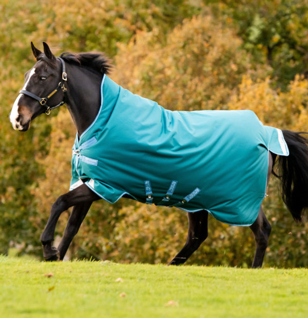 Amigo Bravo 12 Wug Turnout 0g