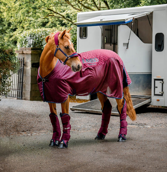 Rambo Travel Series, Burgundy