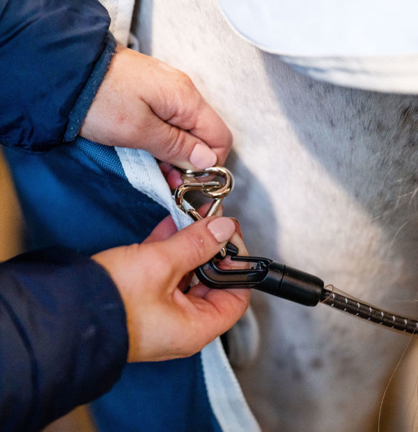 Horseware Eco Liner 200g
