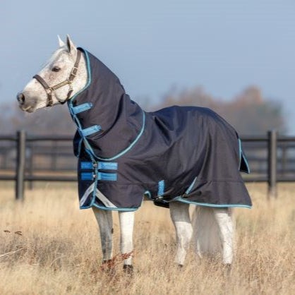 Amigo Bravo 12 Pony Plus Medium