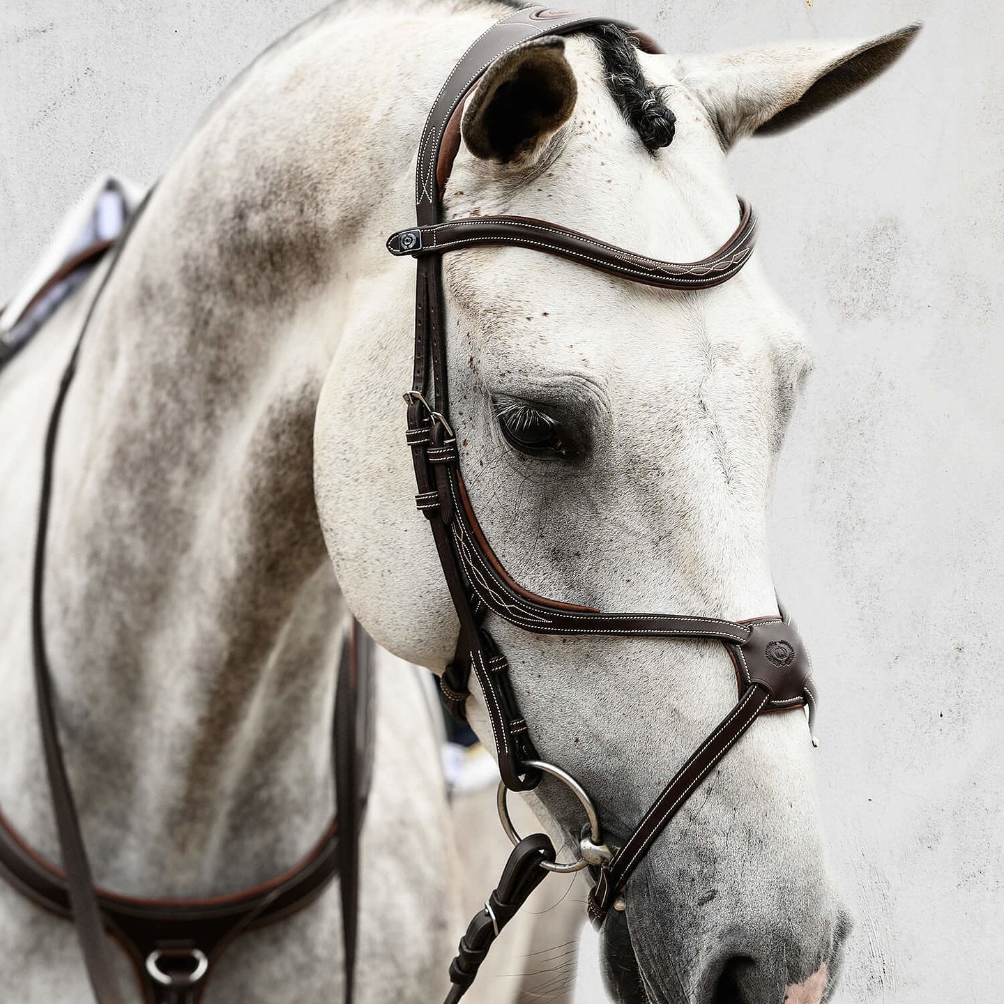 PSOS Bridle Athens