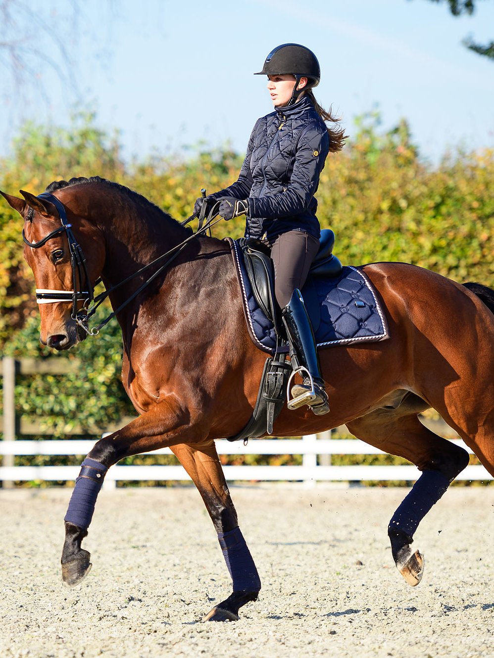 PSOS Polos Monogram Deep Sapphire