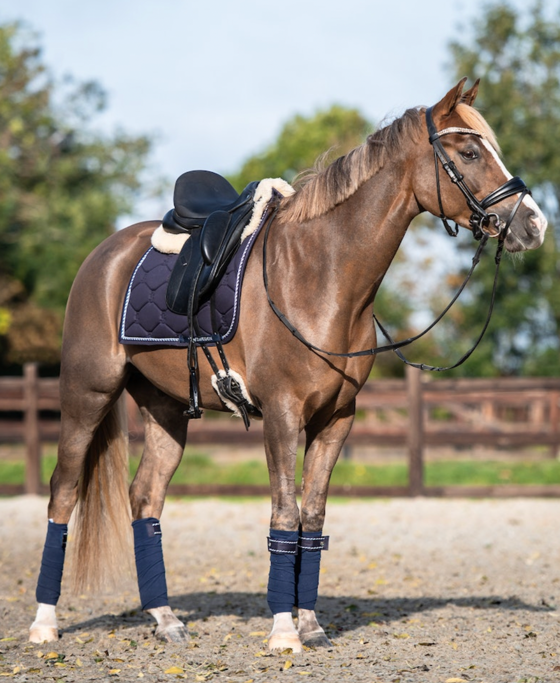 PSOS Dressage Pad Cotton Signature - Hotline - More Colours