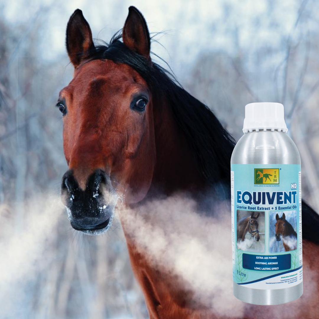 Equivent ND 1L