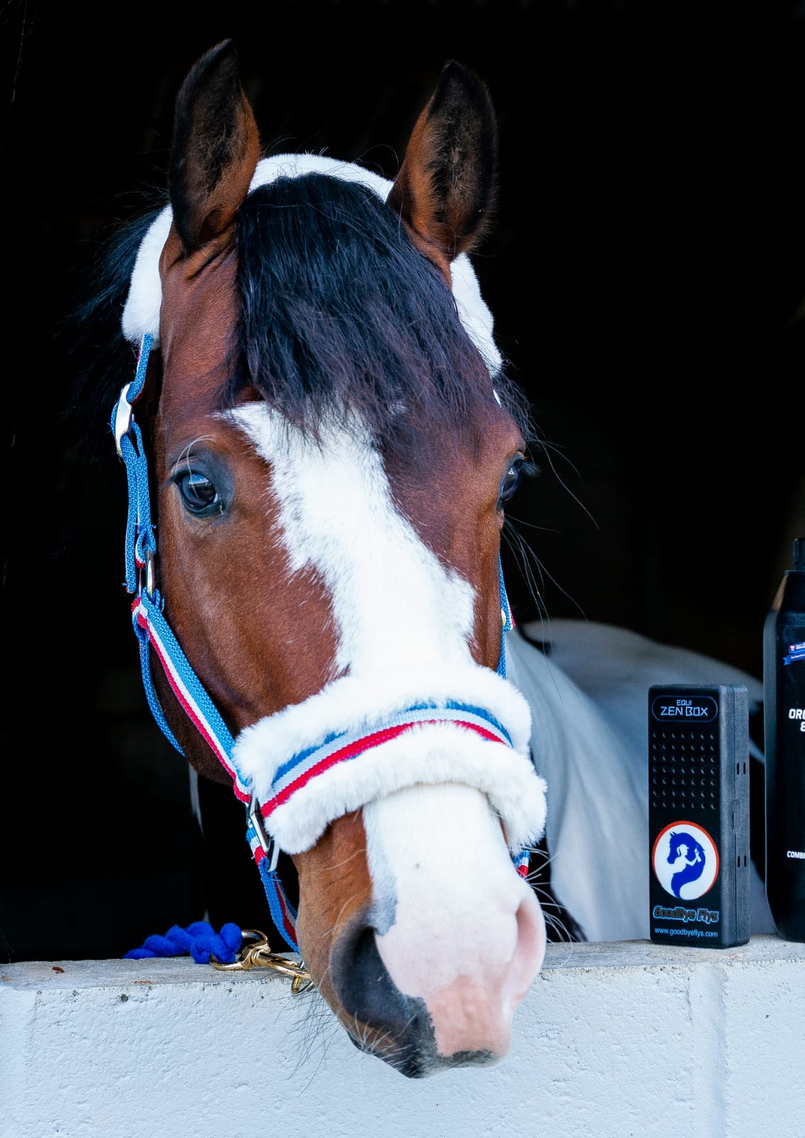 Equi-Zen Horse Calmer Set