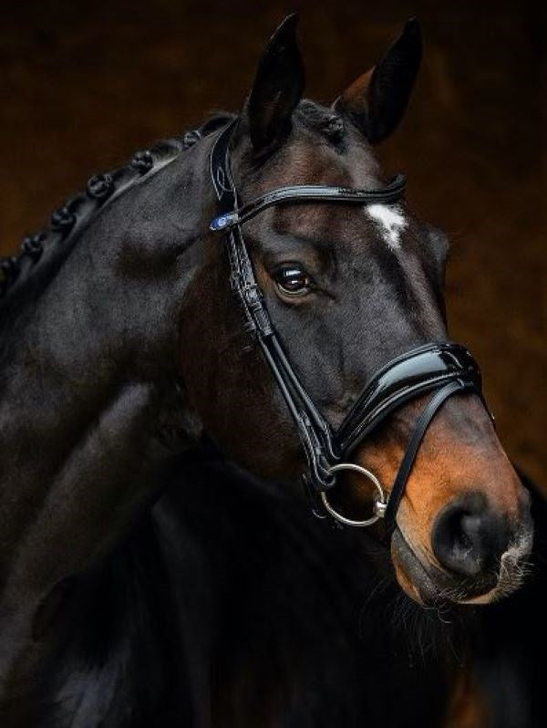 PSOS Bridle Deluxe Flying Change