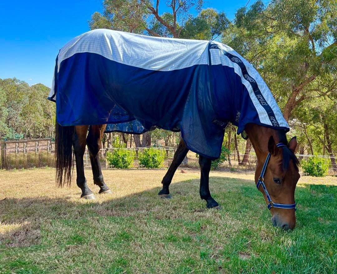 Amigo Helix Airflow Disc Front