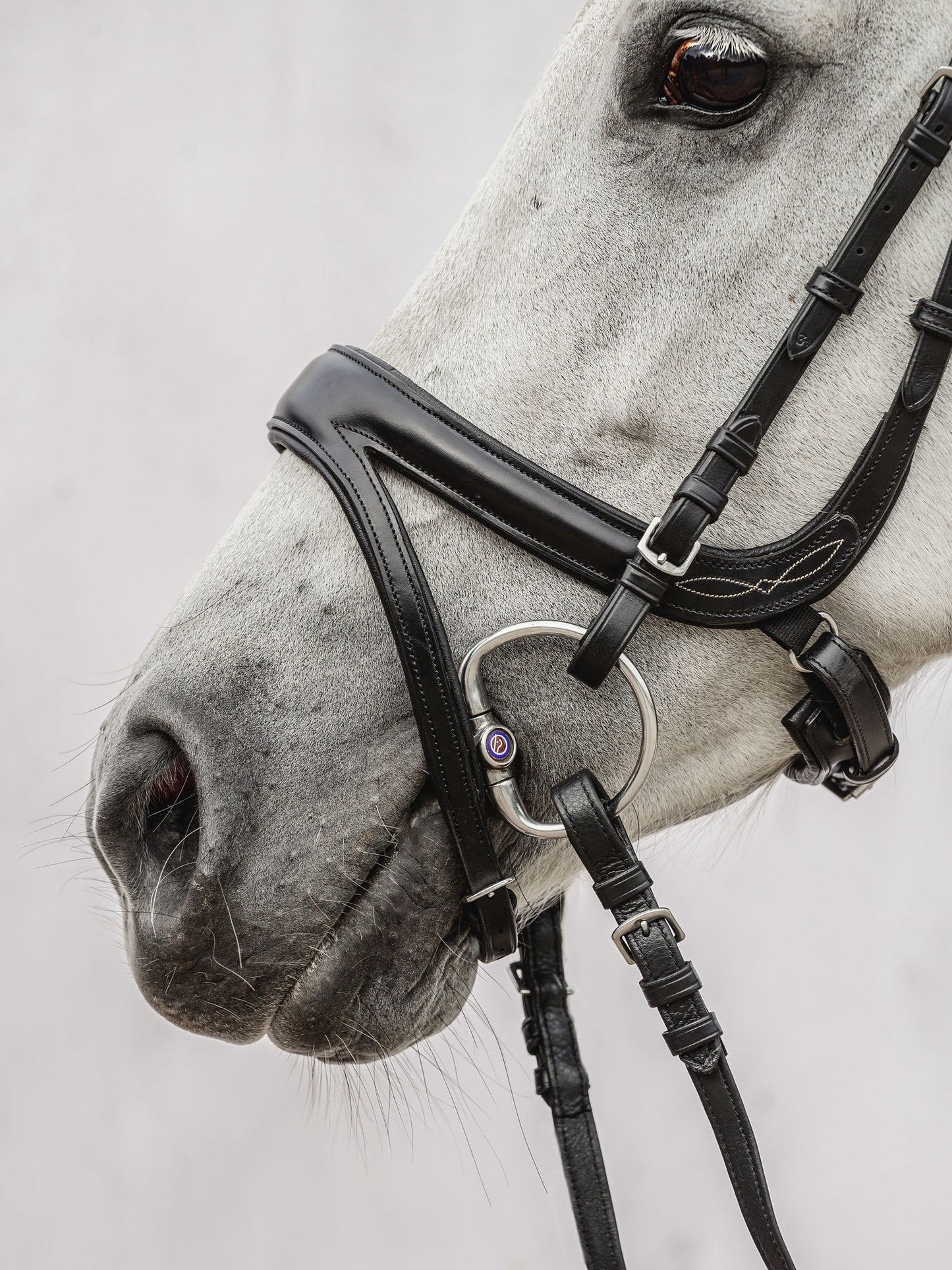 PSOS Bridle Jump Off