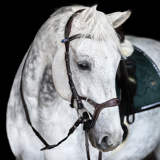 PSOS Bridle Nirak