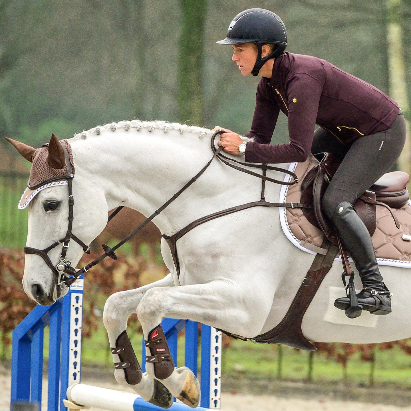 PSOS Bridle Nirak