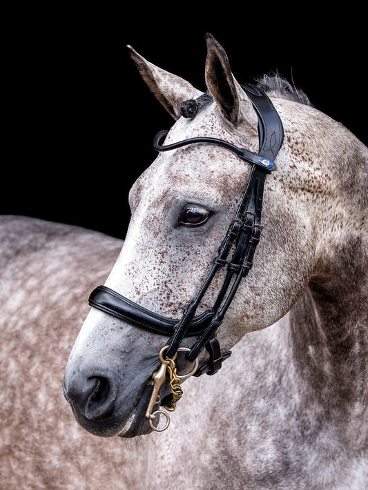 PSOS Double Bridle Paragon