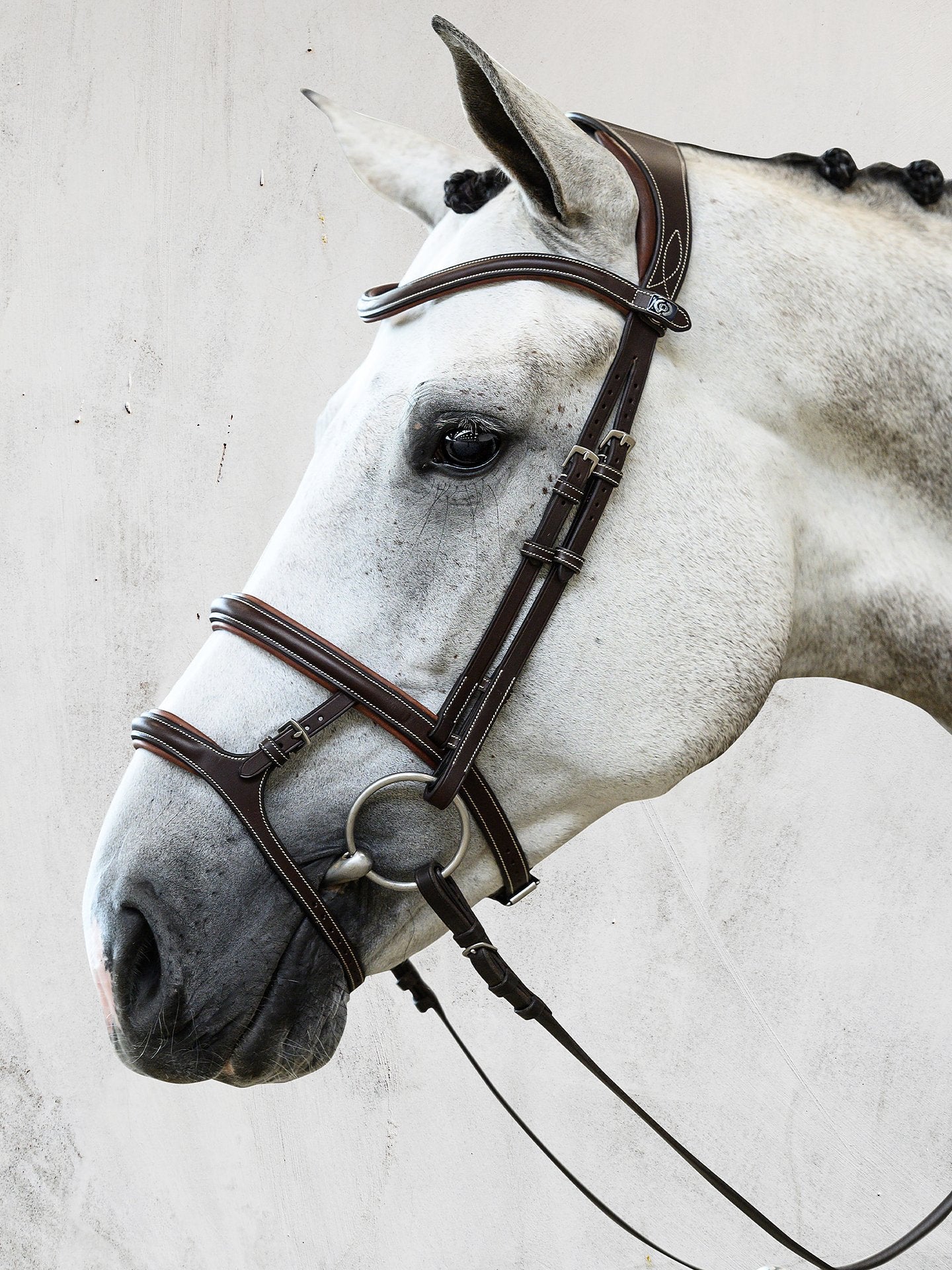 PSOS Bridle Paris