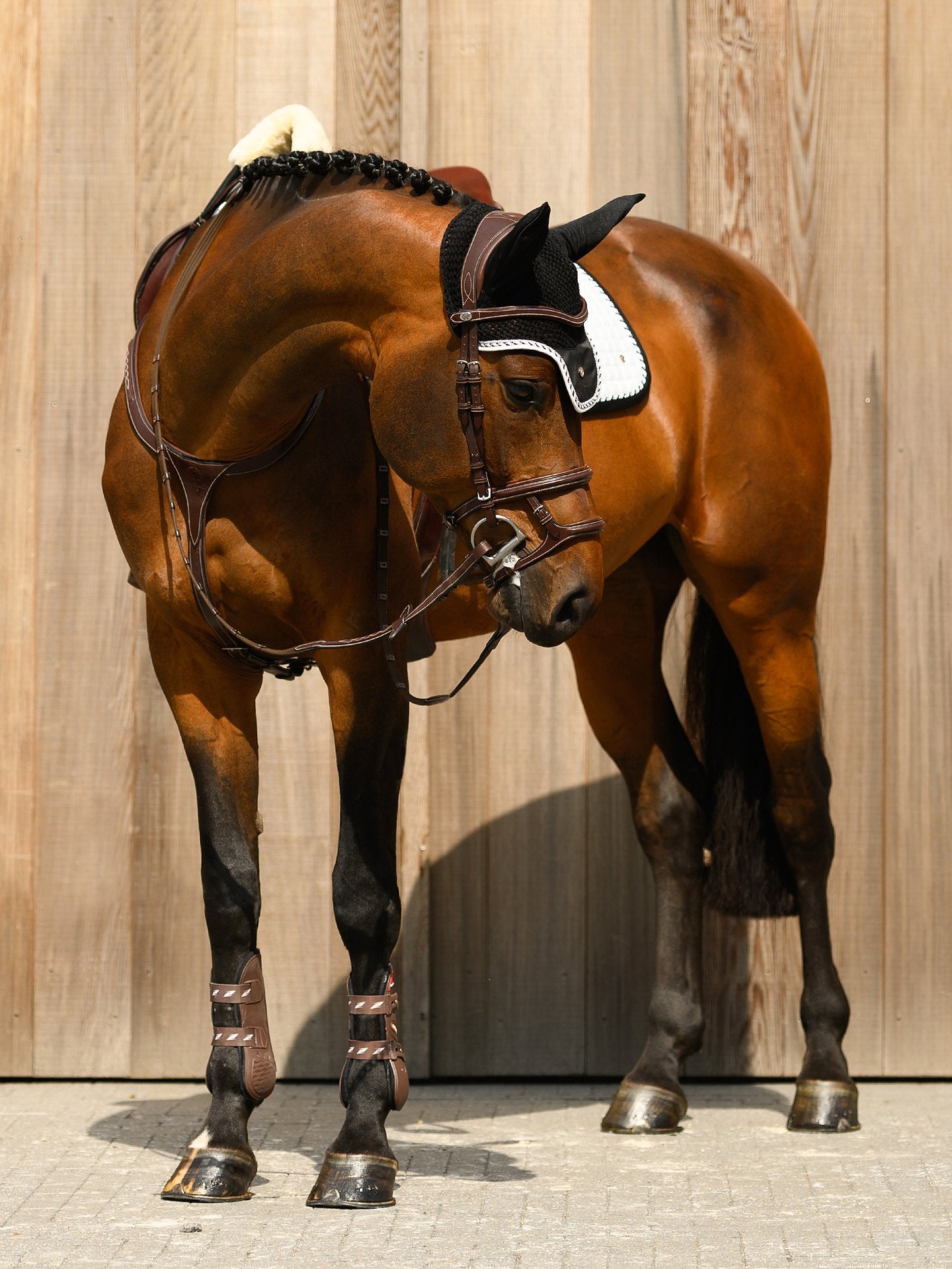 PSOS Bridle Paris