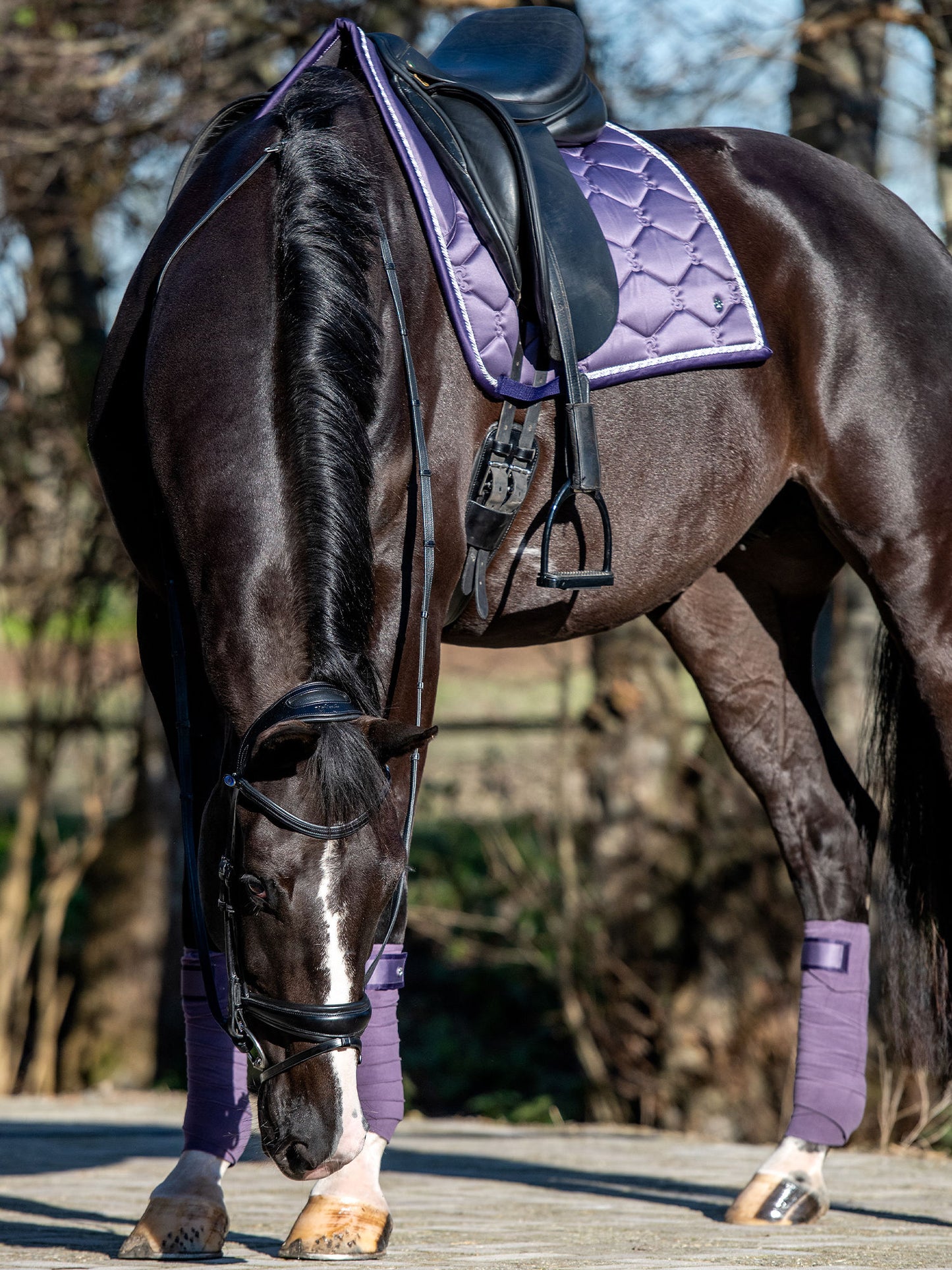PSOS Polos Signature, Purple