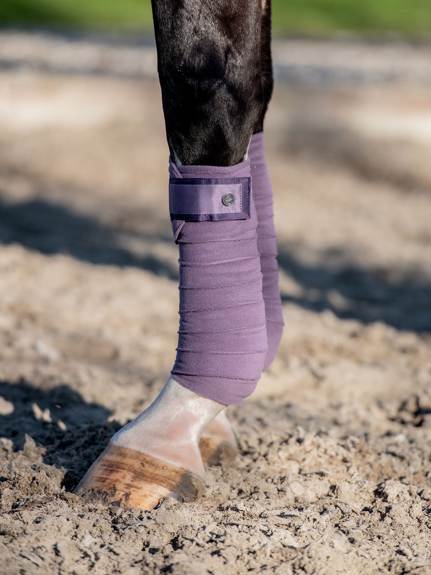 PSOS Polos Signature, Purple