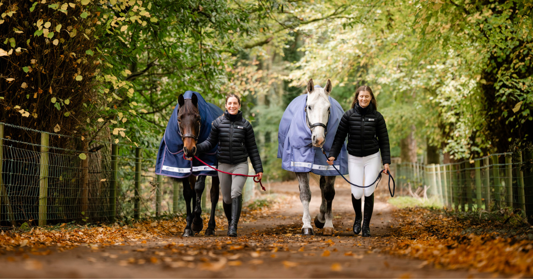 Horse Rug Fill Weight Guide | Which Gram Is Right for Your Horse?