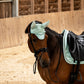 PSOS Ear Bonnet Signature