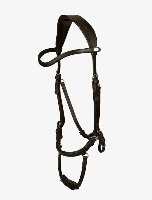 PSOS King Edward Bridle