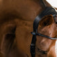 PSOS GP Lacquered Bridle, Black w/ Black