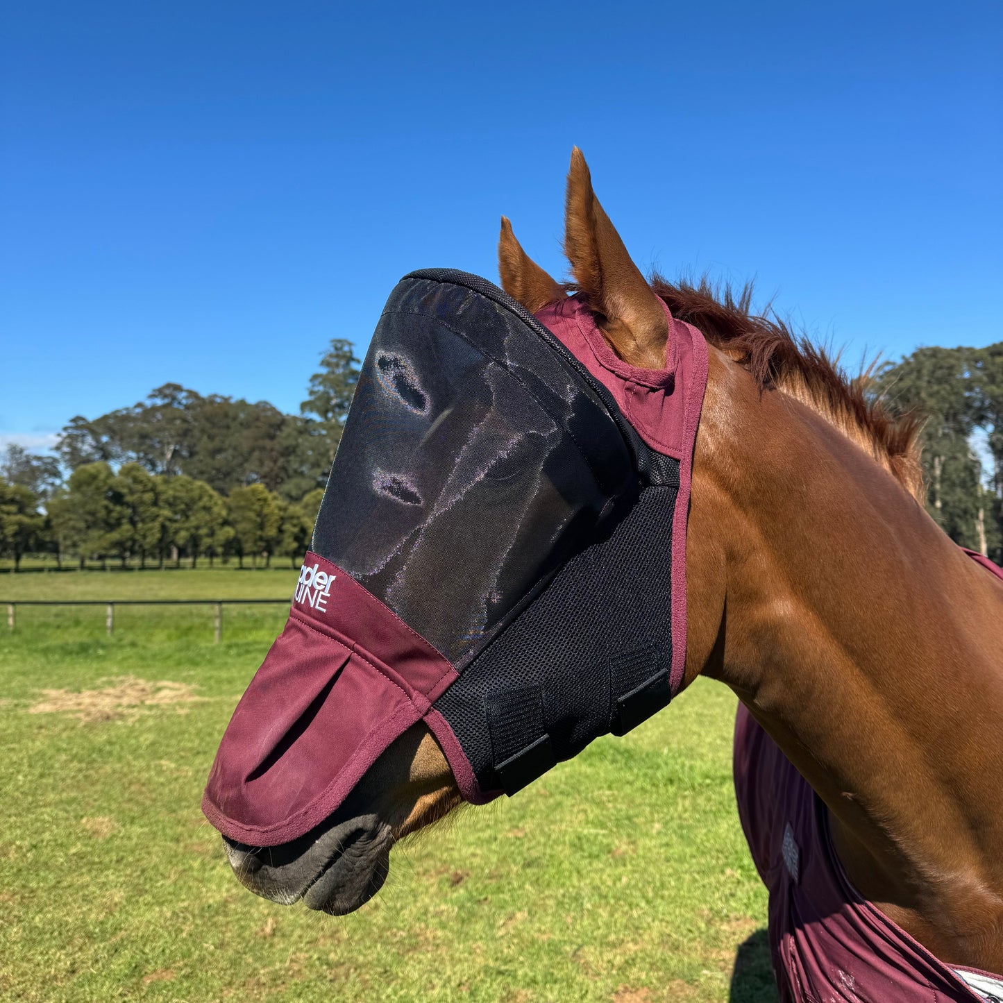 LE Outback Flymask with Nose (no ears)