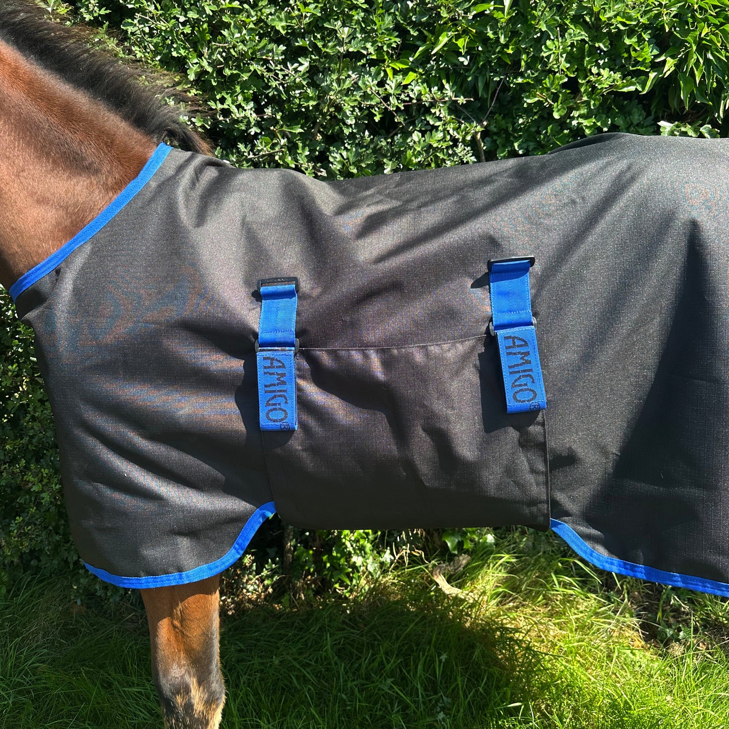 Amigo Ripstop 900D Foal Turnout 50g, Black
